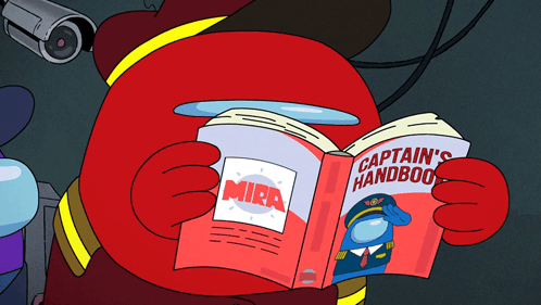 captainoftheskeld